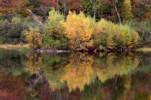 nature-landscape-fall-autumn-204465